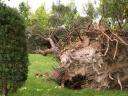 Fotos de Tormenta en Parque de Herencia