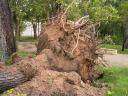 Fotos de Tormenta en Parque de Herencia