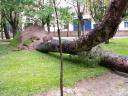 Fotos de Tormenta en Parque de Herencia