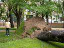 Fotos de Tormenta en Parque de Herencia