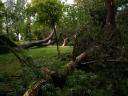 Fotos de Tormenta en Parque de Herencia
