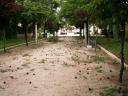 Fotos de Tormenta en Parque de Herencia