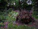 Fotos de Tormenta en Parque de Herencia