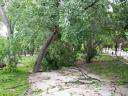 Fotos de Tormenta en Parque de Herencia