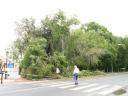 Fotos de Tormenta en Parque de Herencia